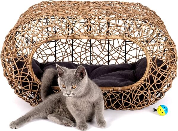 Camita London cat 🐾